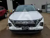2024 Hyundai Tucson фото
