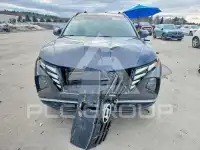 2024 Hyundai Tucson фото