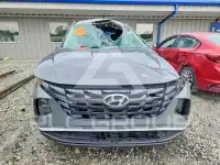 2024 Hyundai Tucson фото