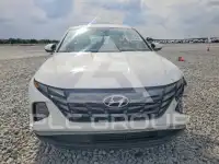 2024 Hyundai Tucson фото