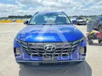 2024 Hyundai Tucson photo