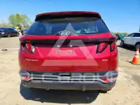 2024 Hyundai Tucson photo