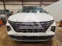 2024 Hyundai Tucson фото