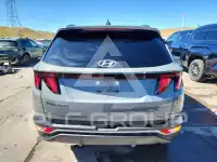 2024 Hyundai Tucson фото