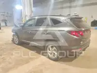 2024 Hyundai Tucson photo