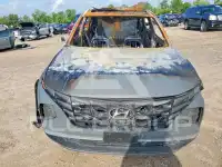 2024 Hyundai Tucson photo