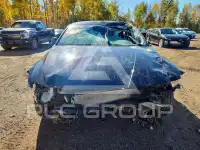 2024 Hyundai Elantra фото