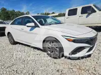 2024 Hyundai Elantra photo