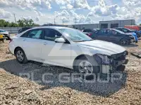 2024 Hyundai Elantra фото