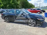 2024 Hyundai Elantra фото