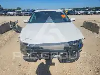 2024 Hyundai Elantra фото