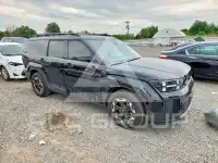 2024 Hyundai Santa Fe фото