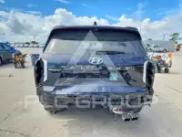 2024 Hyundai Palisade photo