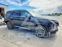 2024 Hyundai Palisade photo