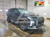 2024 Hyundai Palisade фото