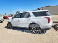 2024 Hyundai Palisade фото