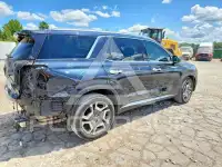 2024 Hyundai Palisade фото