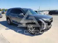 2024 Hyundai Palisade фото