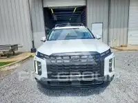 2024 Hyundai Palisade photo