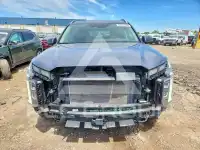 2024 Hyundai Palisade photo