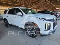 2024 Hyundai Palisade фото