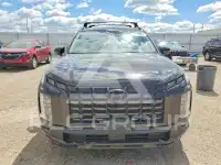 2024 Hyundai Palisade photo
