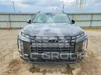 2024 Hyundai Palisade photo