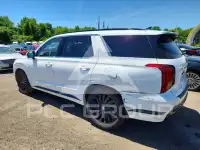 2024 Hyundai Palisade photo