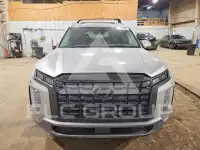 2024 Hyundai Palisade фото