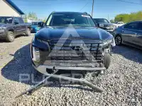 2024 Hyundai Palisade фото
