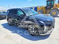2024 Hyundai Palisade photo