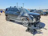 2024 Hyundai Palisade фото