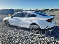 2024 Hyundai Sonata photo