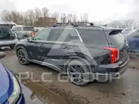 2024 Hyundai Palisade фото