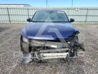 2024 Volkswagen Tiguan photo