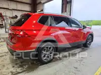 2024 Volkswagen Tiguan photo