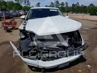 2024 Volkswagen Tiguan фото