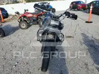 2025 Harley-Davidson  photo