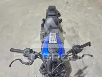 2025 Harley-Davidson  фото