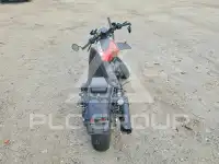 2025 Harley-Davidson  фото