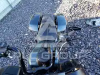 2025 Harley-Davidson FL фото