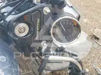 2025 Harley-Davidson FL фото