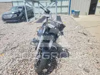 2025 Harley-Davidson FL photo