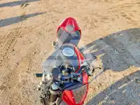 2025 Ducati Monster photo