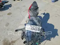 2025 Kawasaki  photo