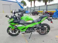 2025 Kawasaki  фото