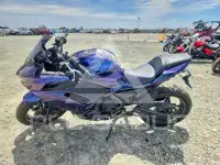 2025 Kawasaki  фото