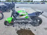 2025 Kawasaki  фото