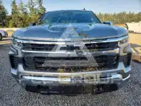 2025 Chevrolet Silverado фото