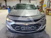 2025 Chevrolet Malibu фото
